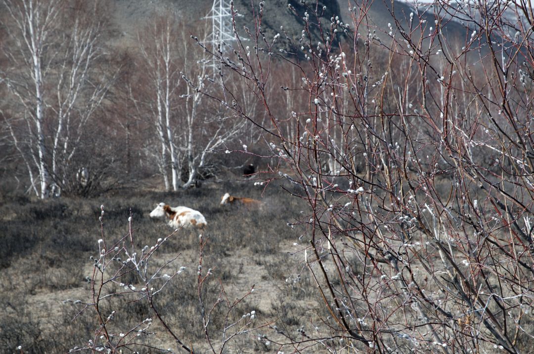 ���������� �����