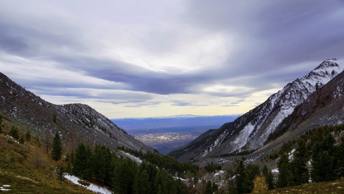 � ��������� �. ������