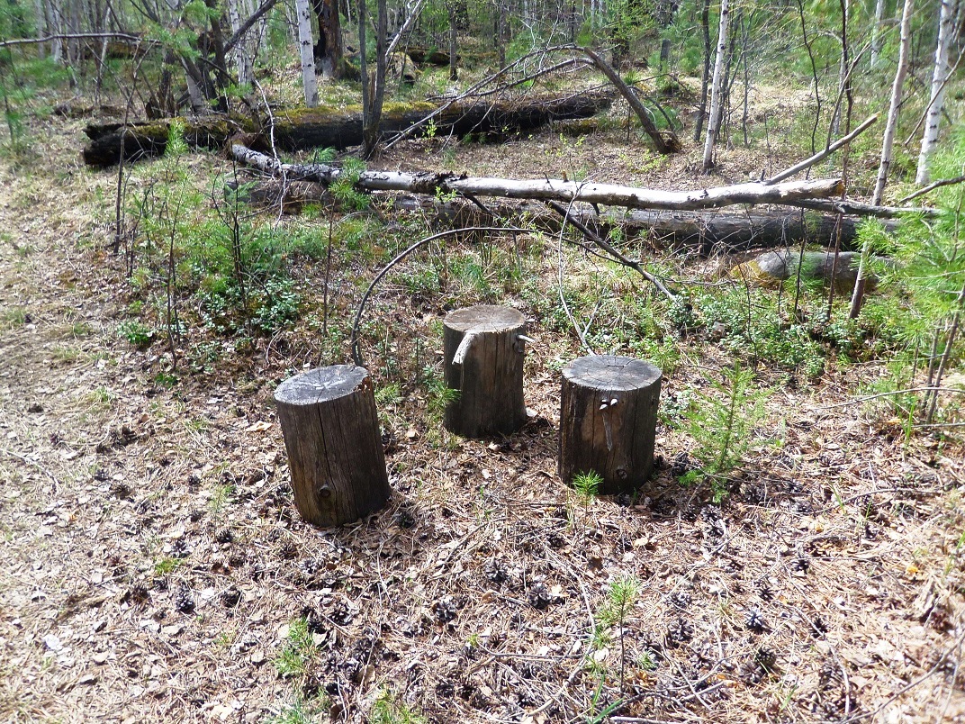 ���������? - ������ �������