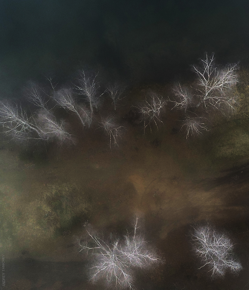 � ���������� ����