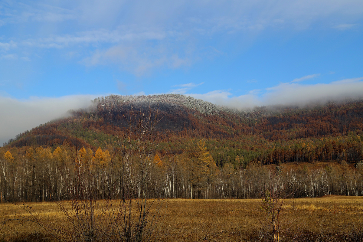 ������� ������