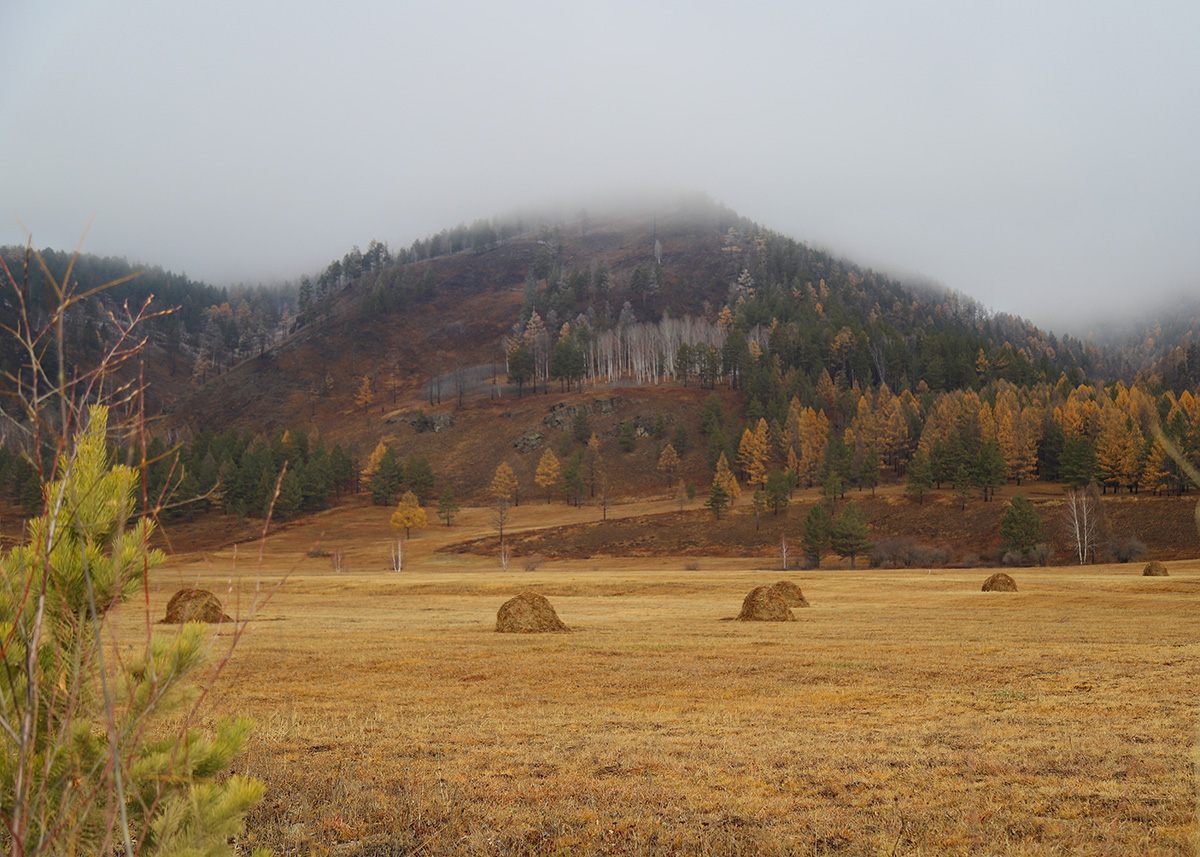 ��� �����, � ��� ���������