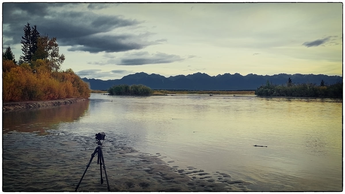 ���� ���������