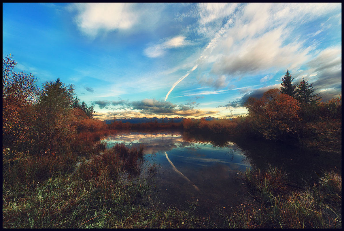 ������� ����� ���