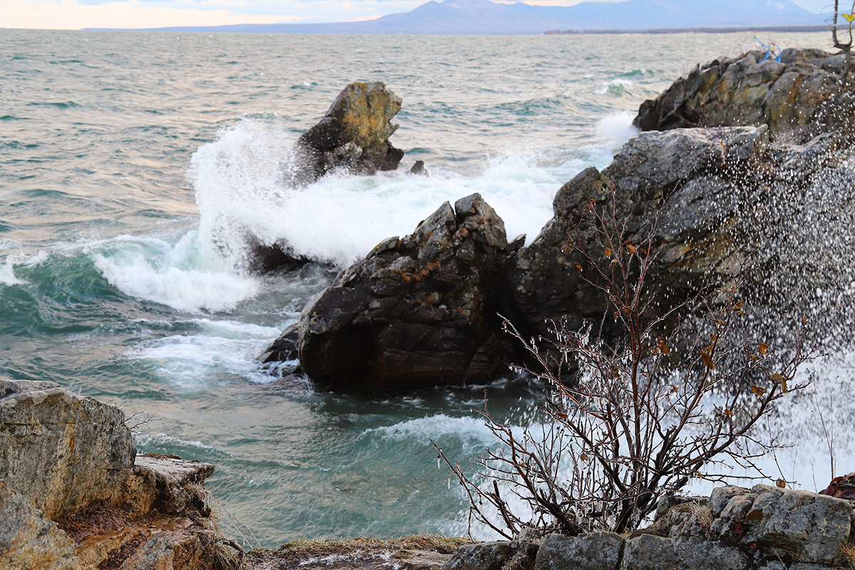 ����� �����