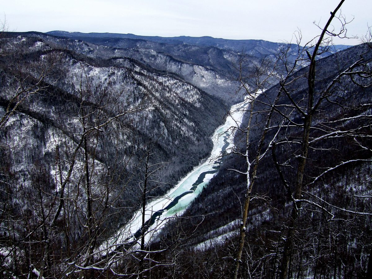 ��� �� �������� ����� ������������ ����� ������