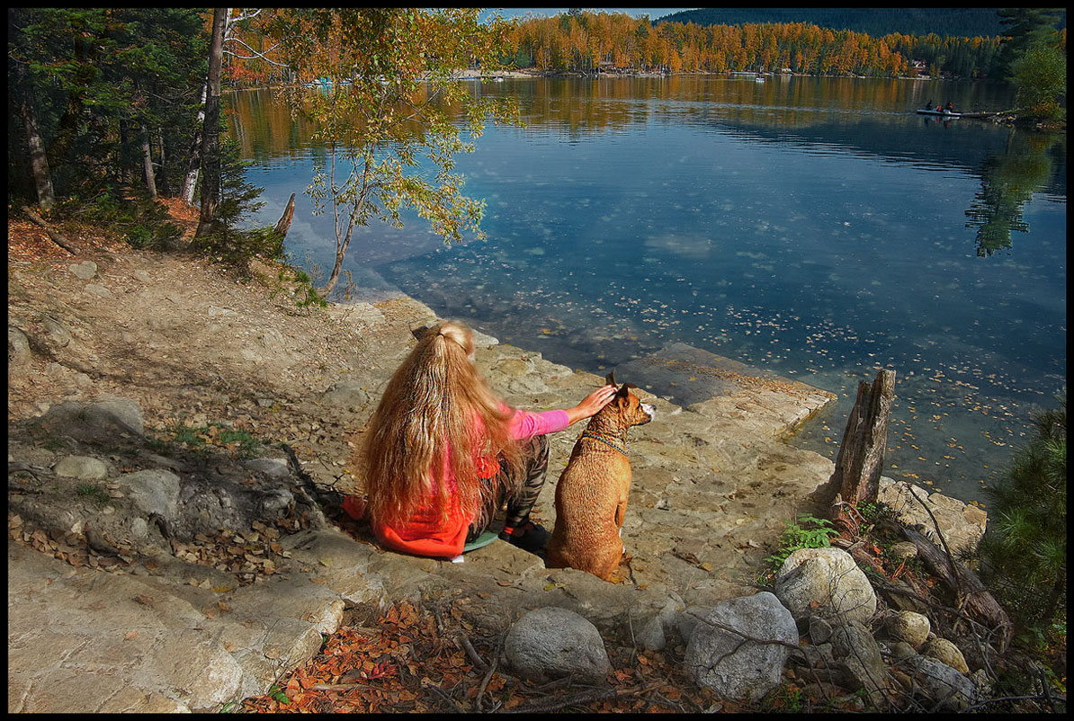 ������� �����������