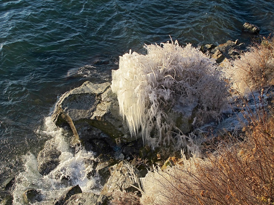 ����� ��������