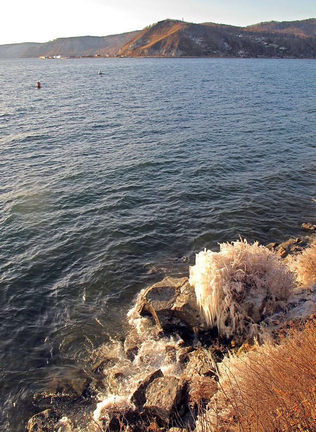 ���� ������