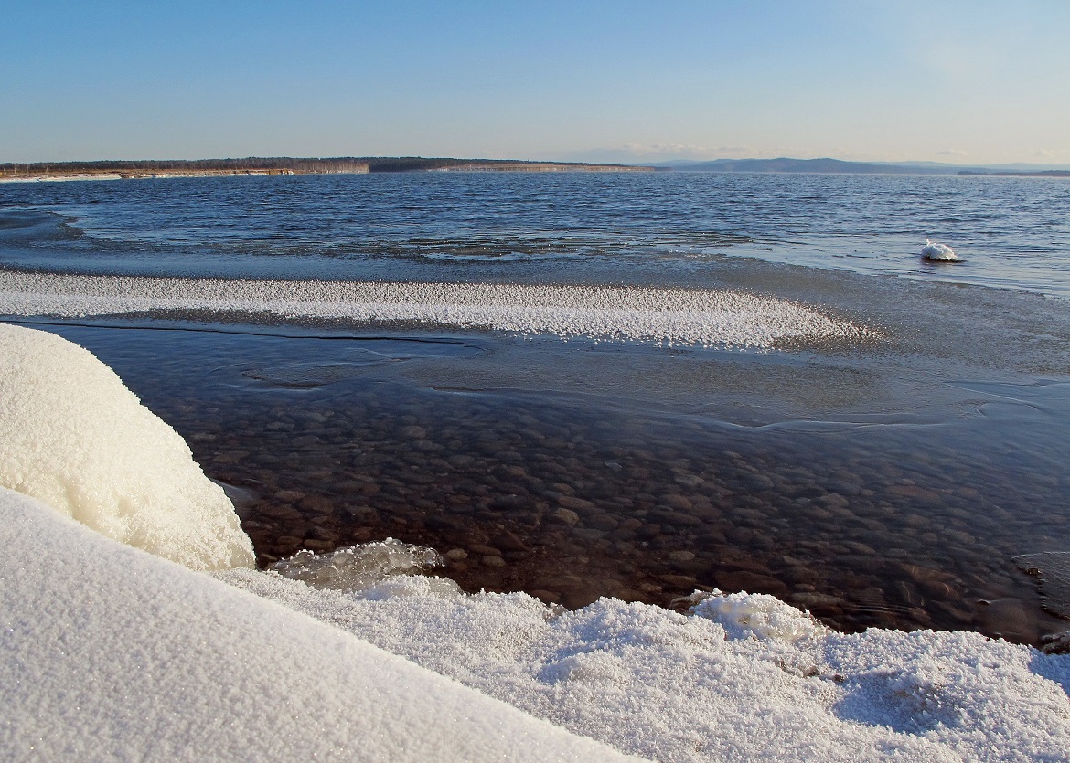 ���� ���������