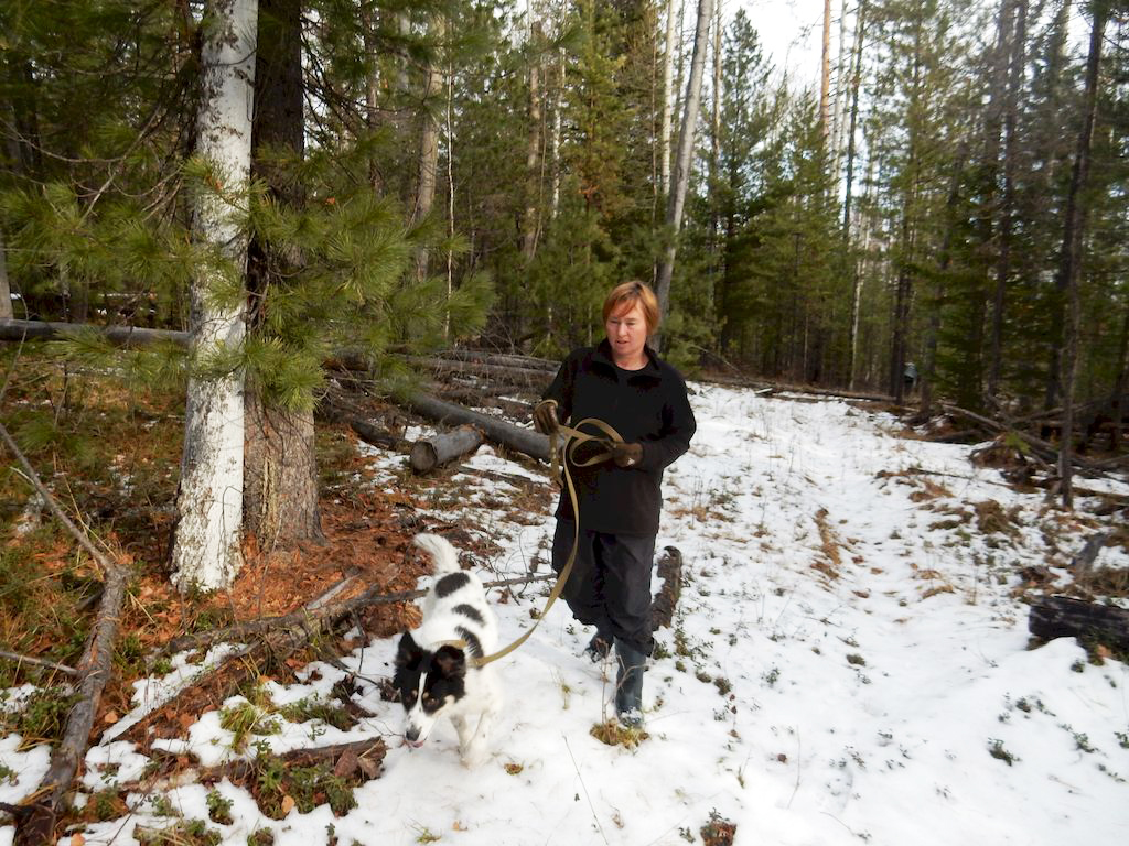 ���� � ������ �������