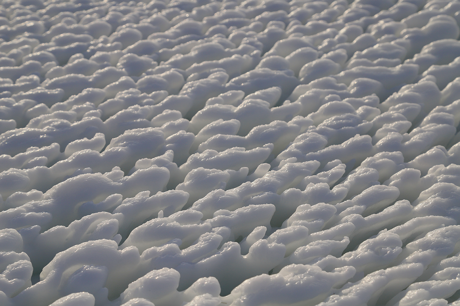 ��� ���������� ���� ��??