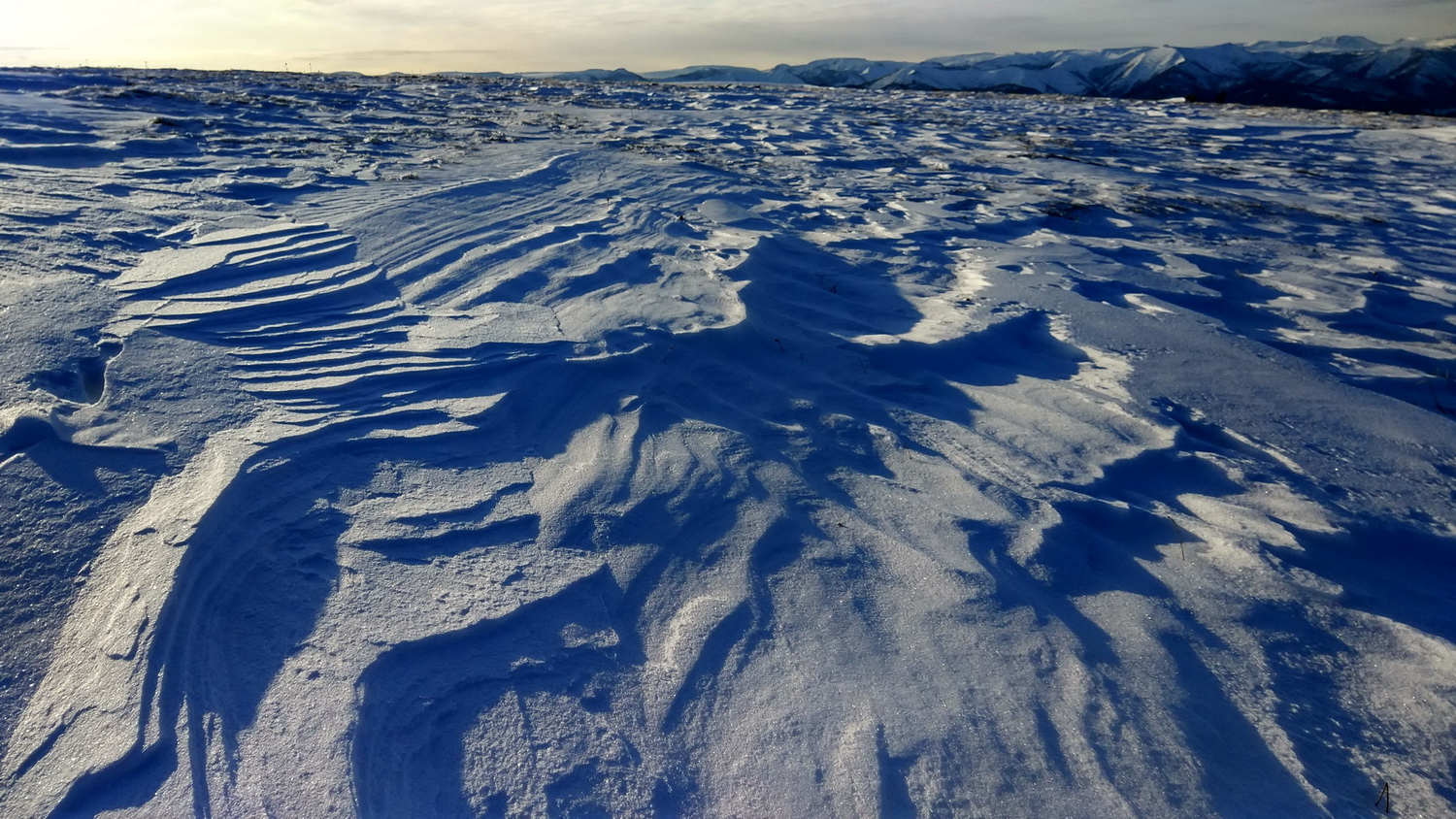 ������ �����-������