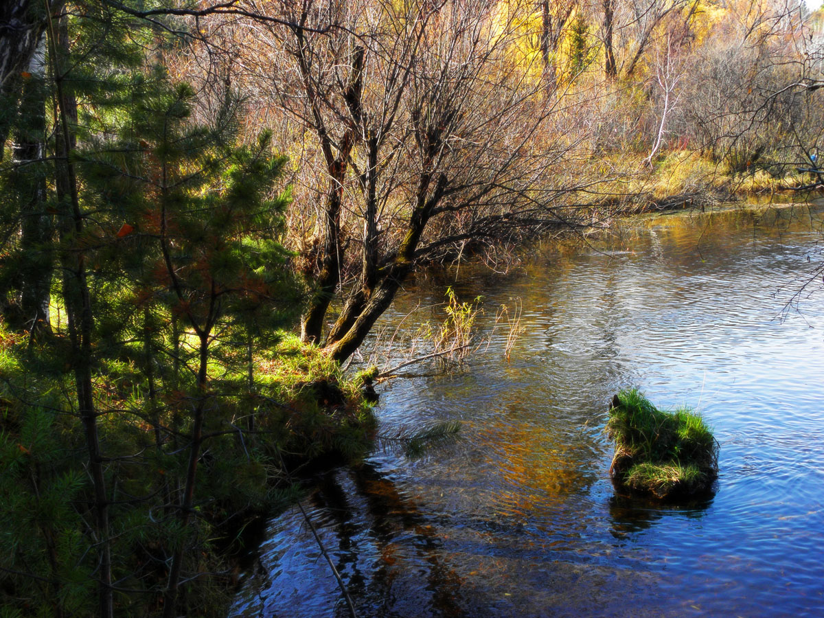 �������-�������