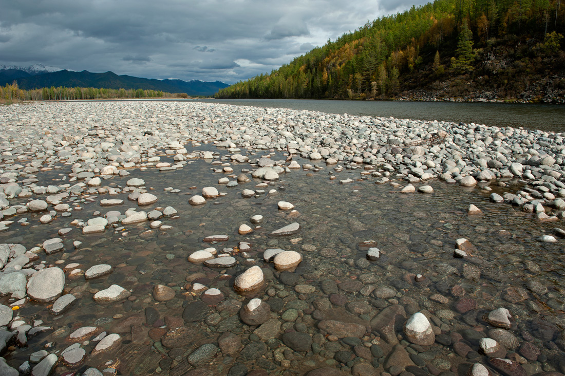 ���� ��� ��������