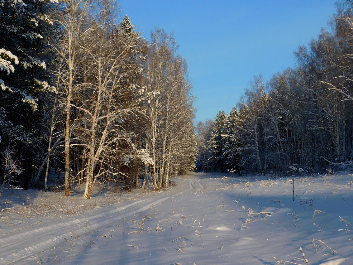 � ������ ��� ������ ������ �������