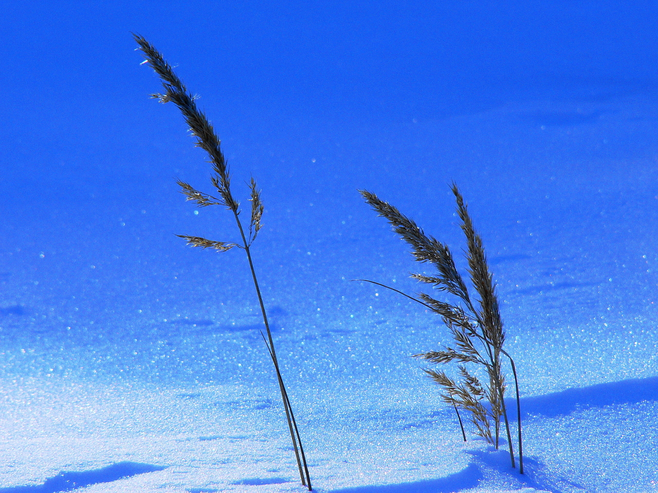 ��� ������, ��� �� ������ �