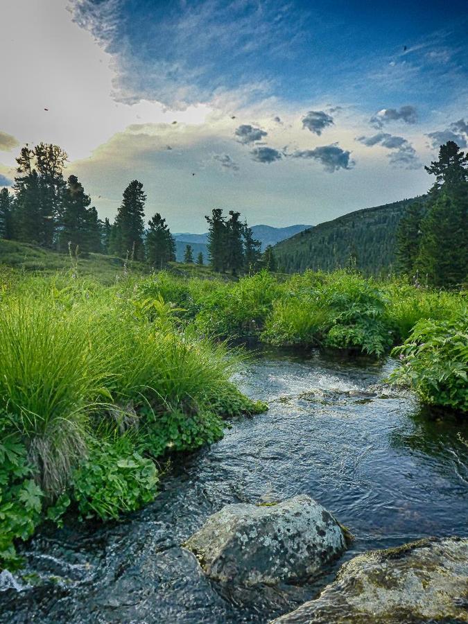 Центральный исток реки Сарамты