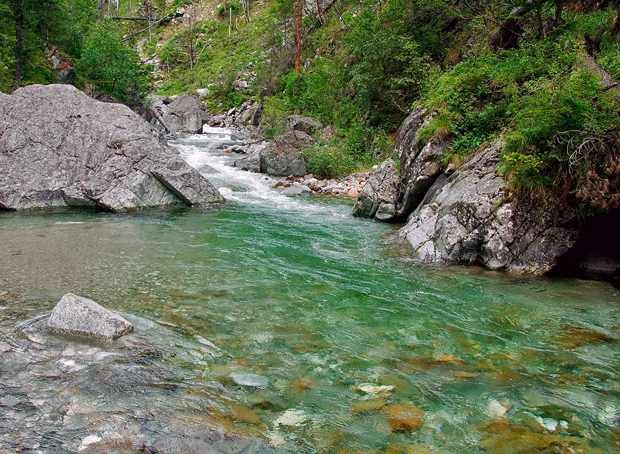 Кынгарга