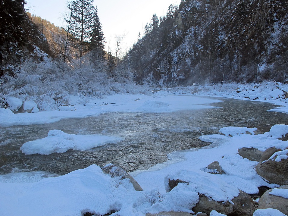 ���� ���-���� � �. ������ ��������