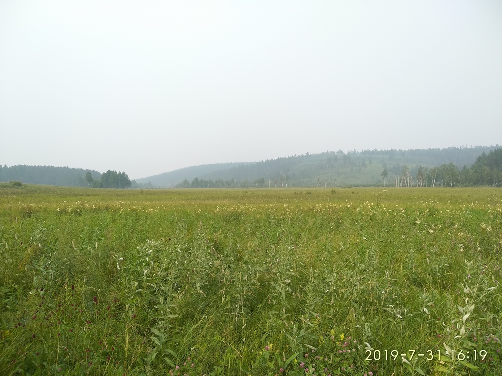 �������� ���� ������