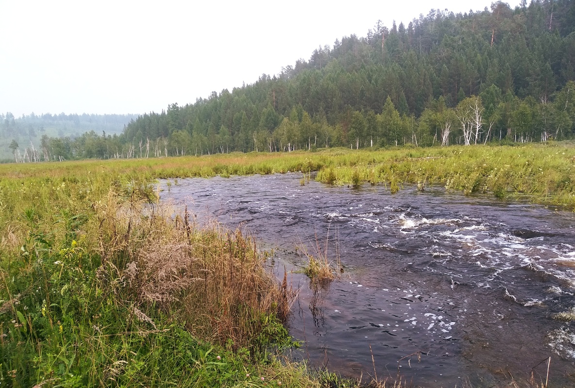 ���� ������