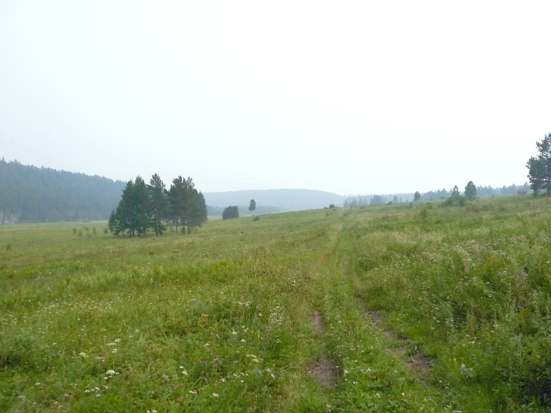 �������� ���� ������