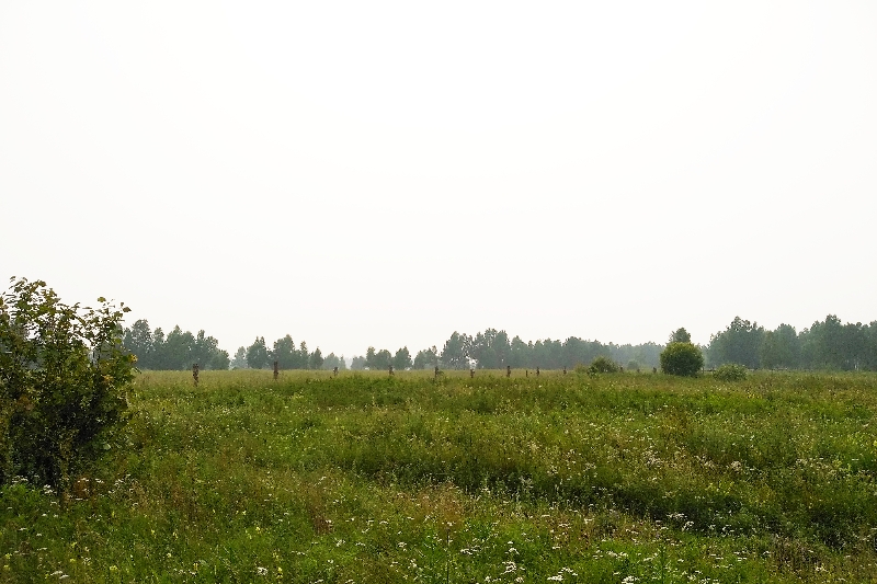 ������� ������