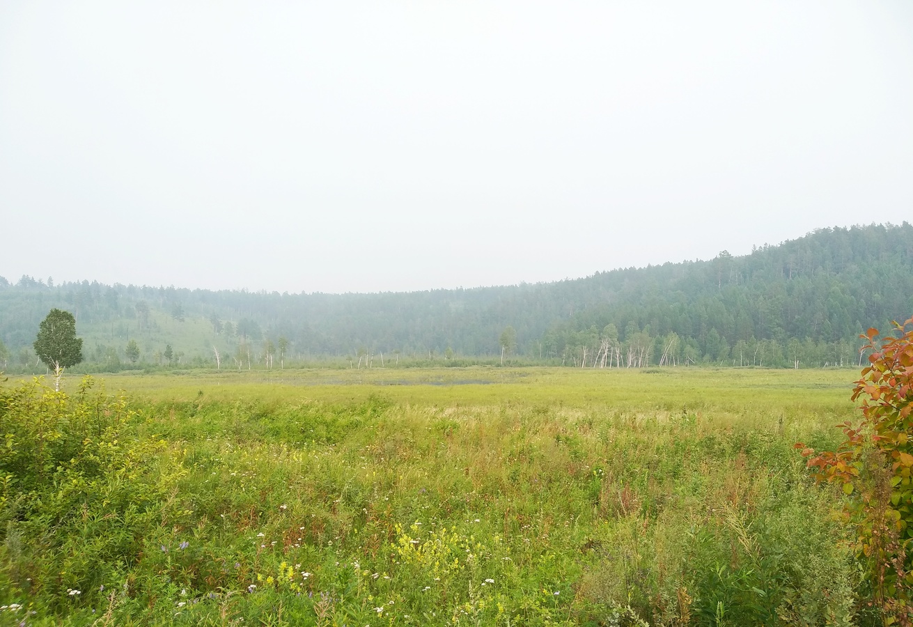 ������ (�������)