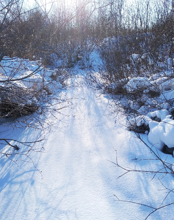 ����� ���� ������ �����