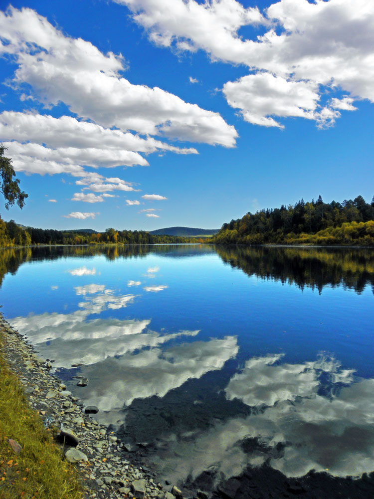 ������� ���������