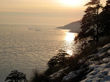 � ����� ���