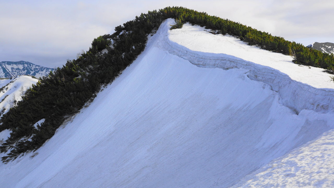 ������� ����� �� ����� �