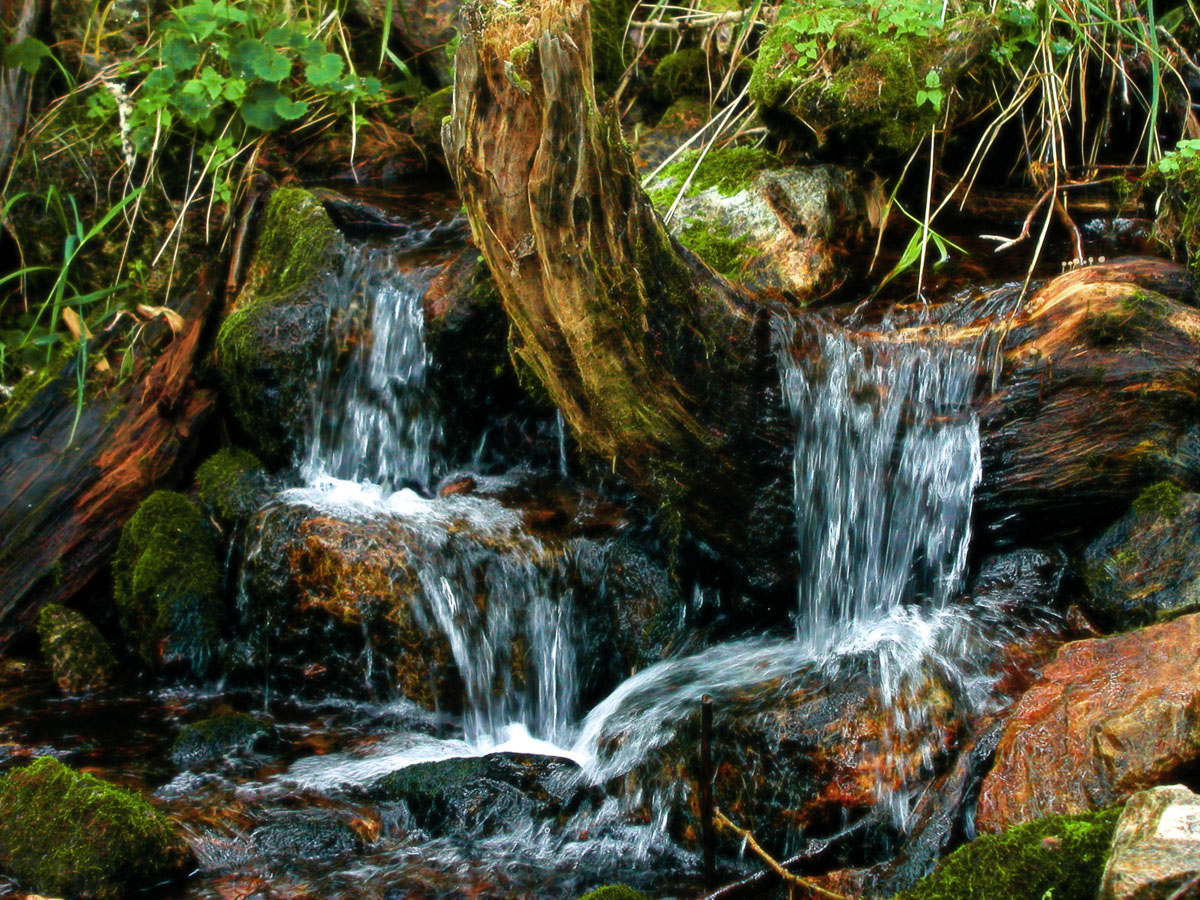 ������ �����