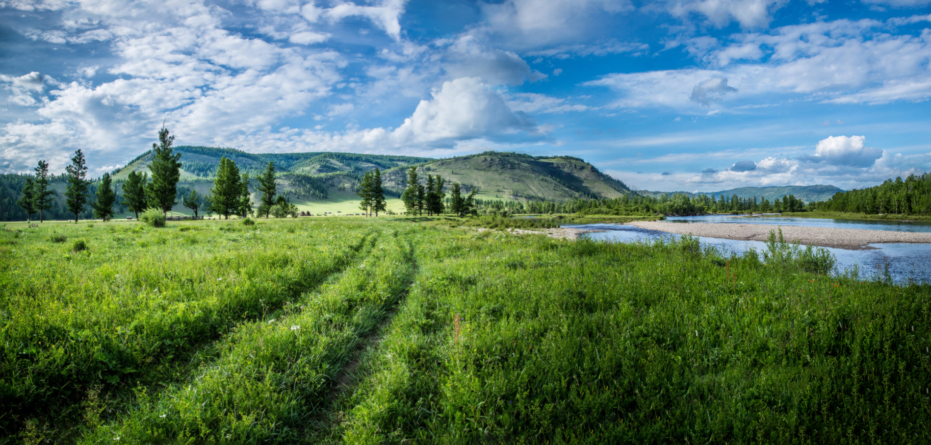 ��������