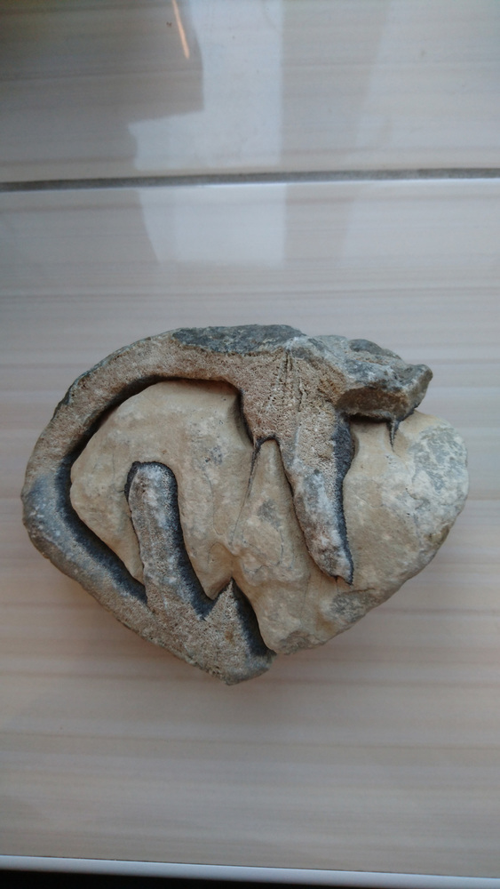 ������ � ����������� ����� �� ������