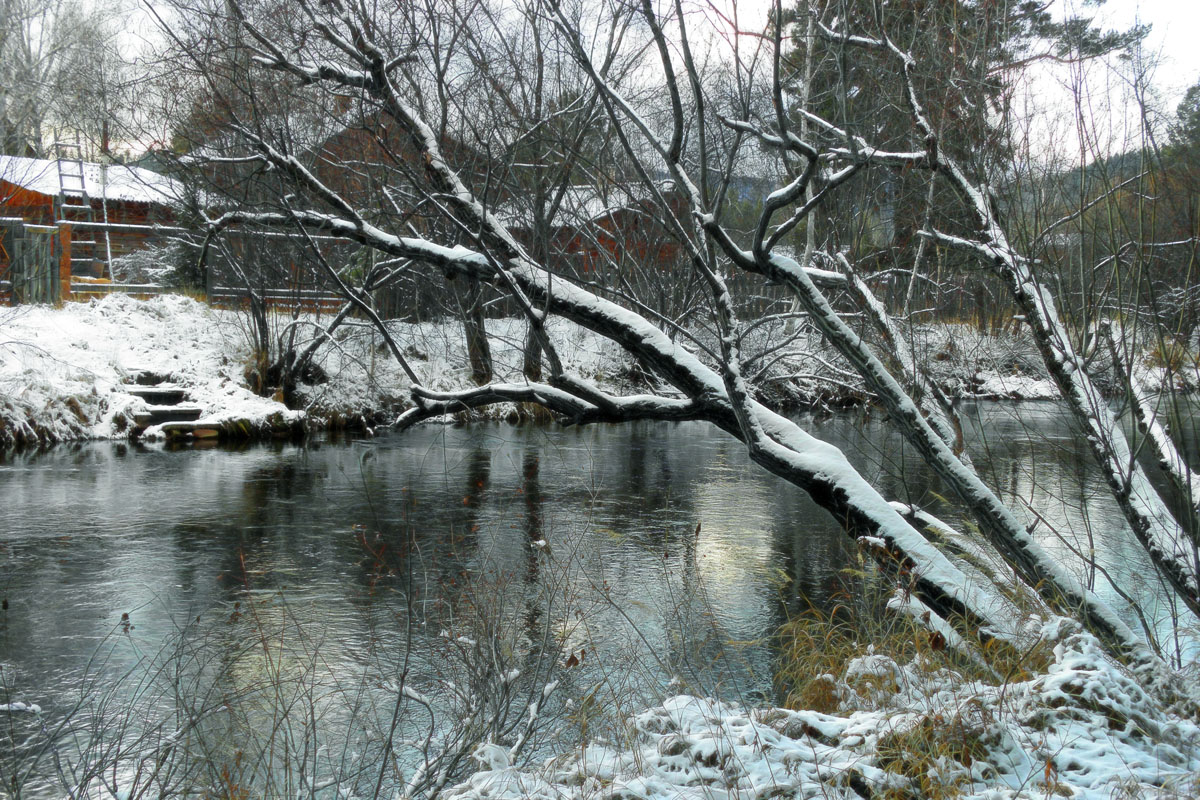 �� ������ ������