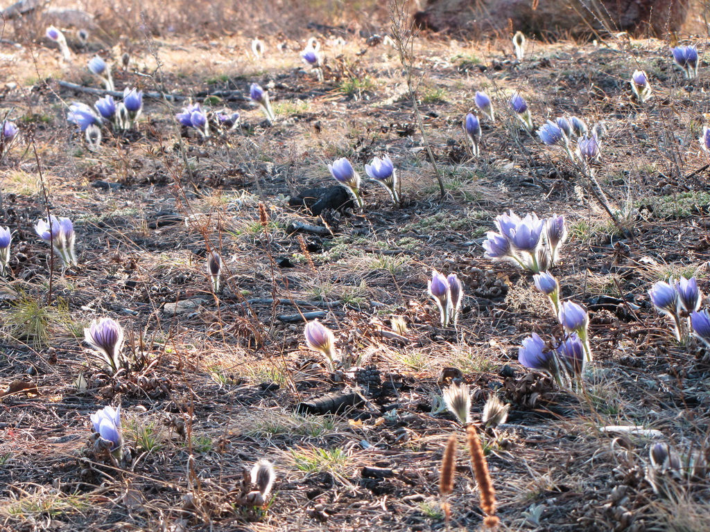 ����������� �� ������