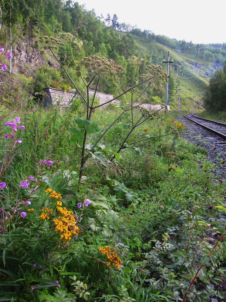 ������������������ �����