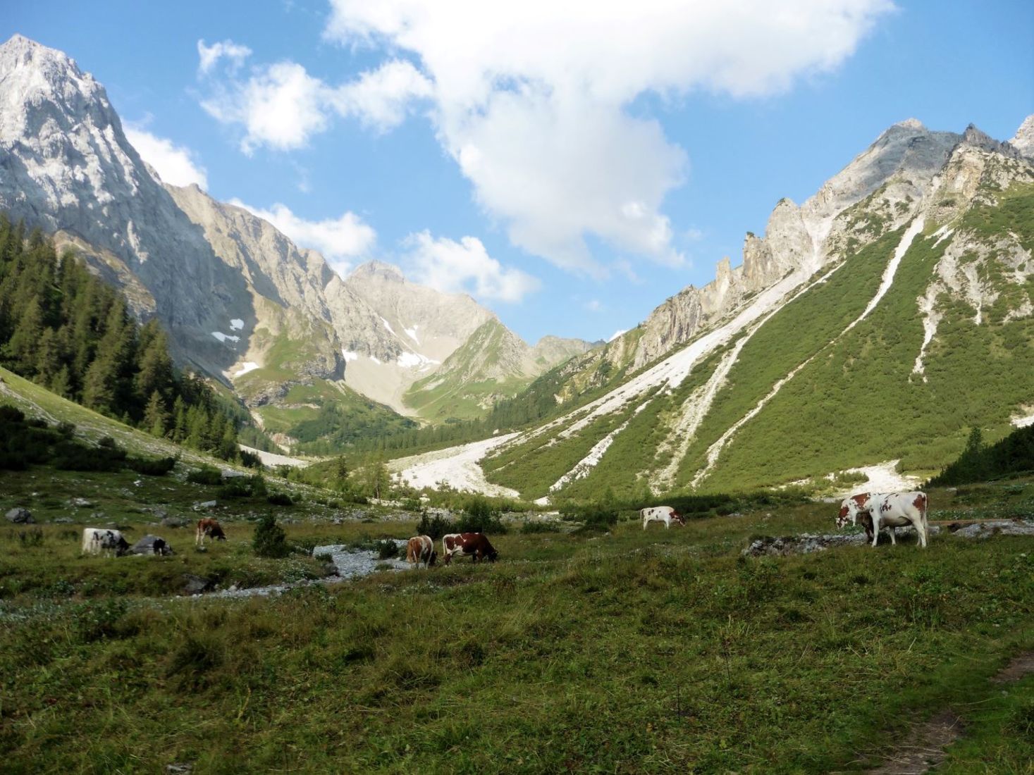 � ������