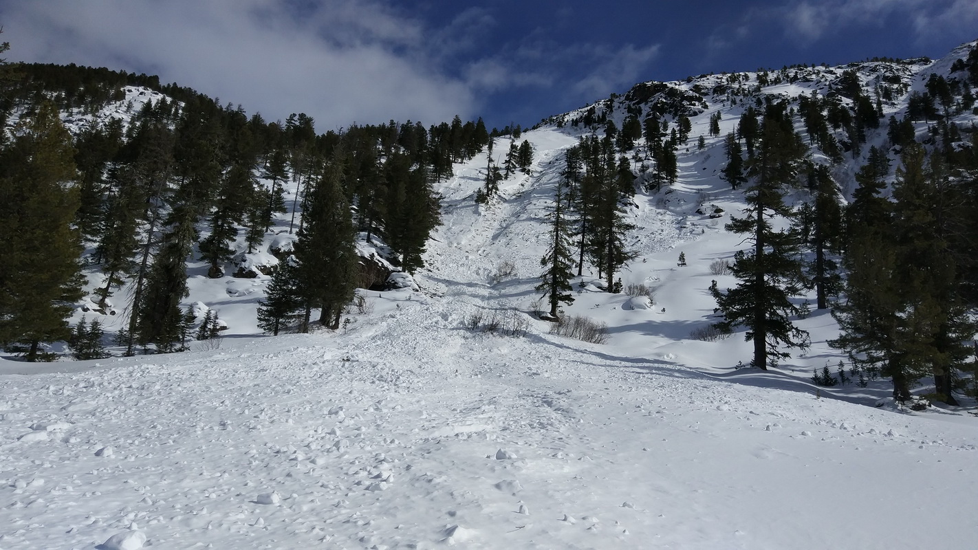 ������ � ��������