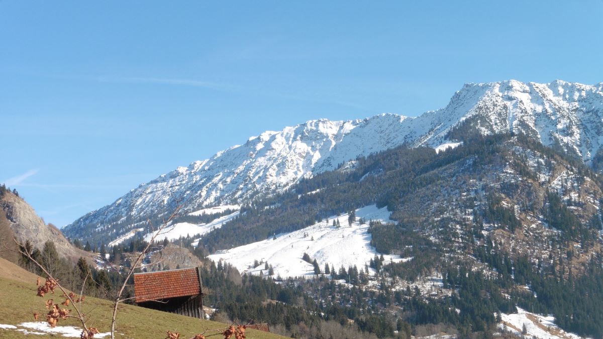 ����� �����