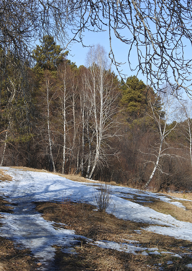 ��� � � ��� ������ ������