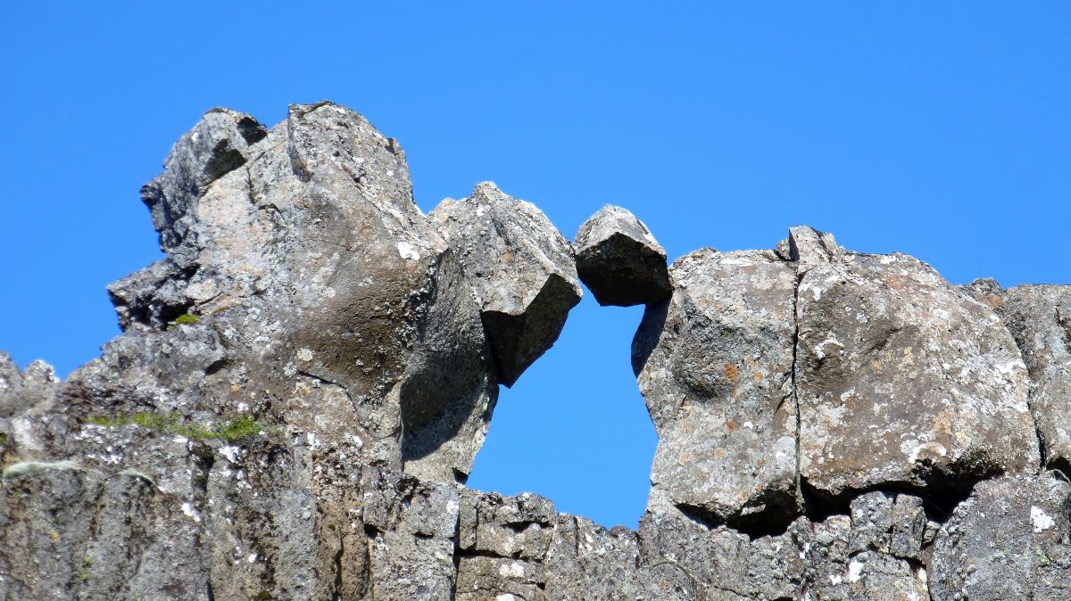 ���� �������