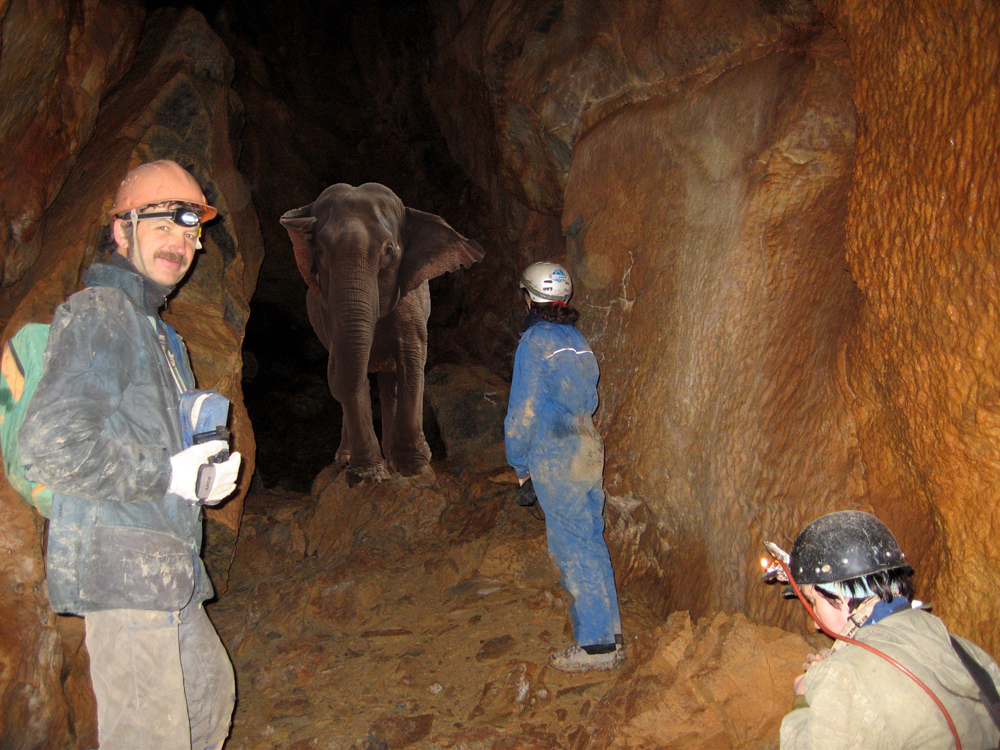 � ����������. �����