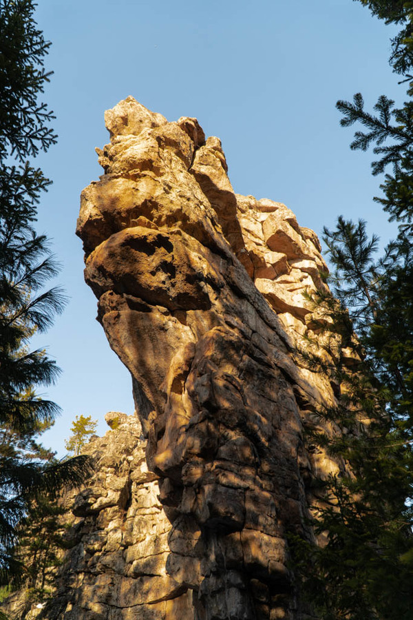 ������ � �������