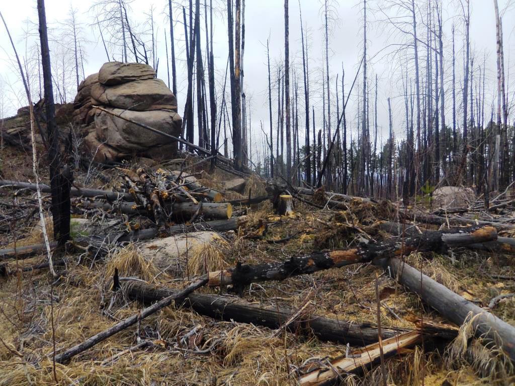 ����������� ����� ���������