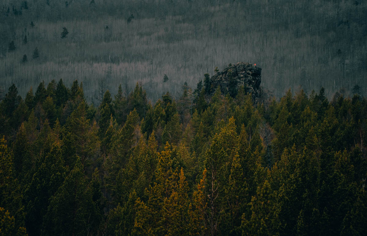  ""