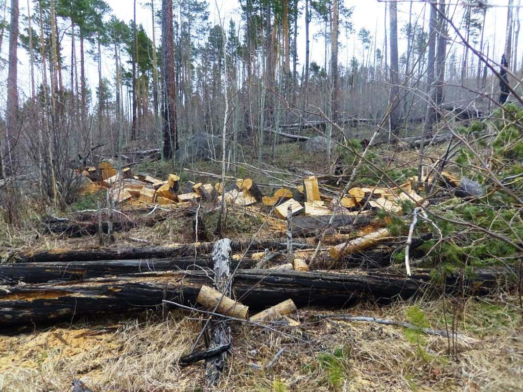 � ��� �� ����, �� ��������