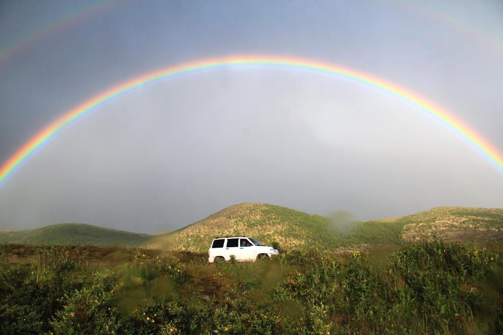 ���� ������